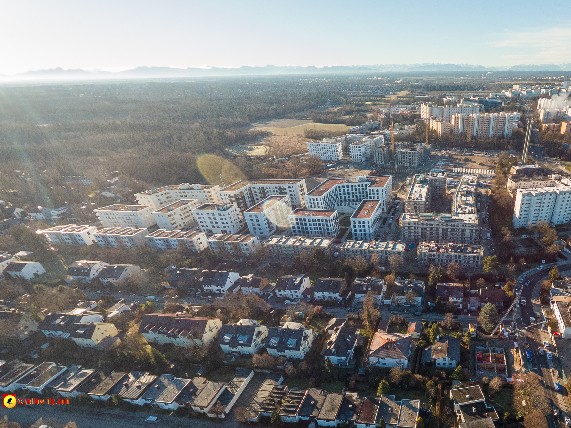 16.01.2023 - Alexisquartier und Pandion Verde 16.01.2023 - Alexisquartier und Pandion Verde